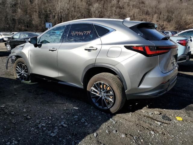 2023 Lexus NX 350