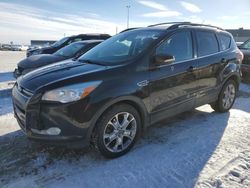 Salvage cars for sale from Copart Nisku, AB: 2013 Ford Escape SEL