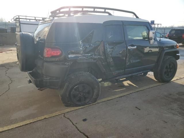 2010 Toyota FJ Cruiser