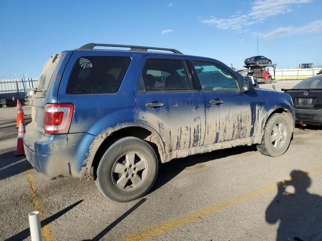 2009 Ford Escape XLT