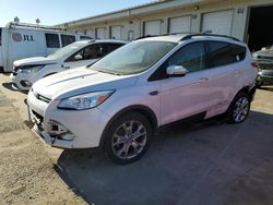 Ford salvage cars for sale: 2013 Ford Escape SEL