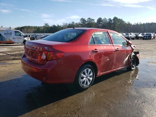 2010 Toyota Corolla Base