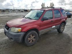 Flood-damaged cars for sale at auction: 2006 Ford Escape XLT