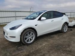 Salvage cars for sale from Copart Bakersfield, CA: 2023 Tesla Model Y