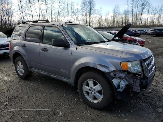 2008 Ford Escape XLT