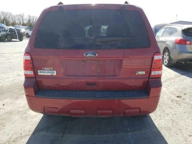 2011 Ford Escape XLT