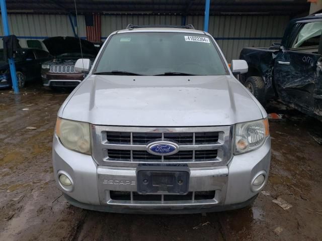 2011 Ford Escape Limited