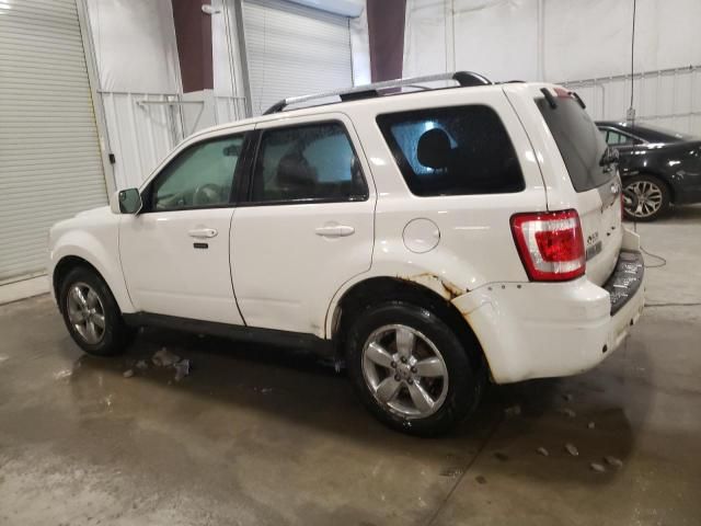 2011 Ford Escape Limited