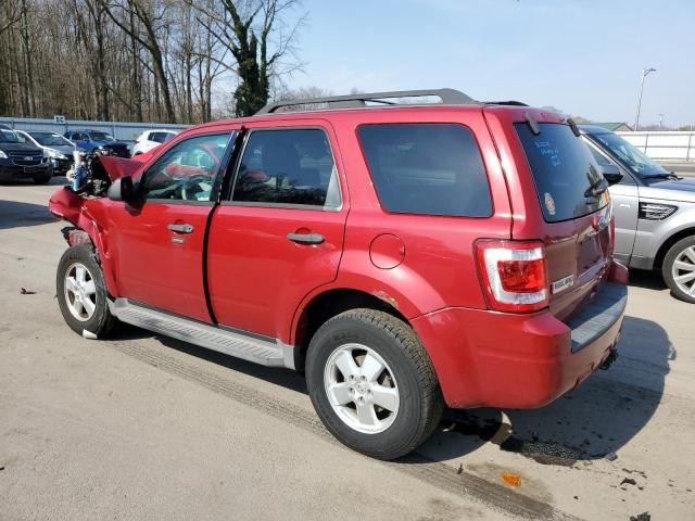 2011 Ford Escape XLT