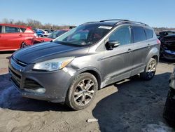 Salvage cars for sale at Cahokia Heights, IL auction: 2013 Ford Escape SEL