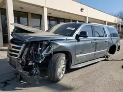 Cadillac salvage cars for sale: 2019 Cadillac Escalade ESV Luxury