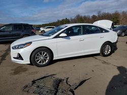 Salvage cars for sale from Copart Brookhaven, NY: 2019 Hyundai Sonata SE