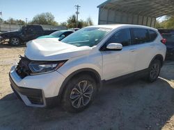 Salvage cars for sale from Copart Midway, FL: 2020 Honda CR-V EX