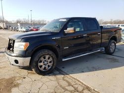 2011 Ford F150 Supercrew for sale in Fort Wayne, IN