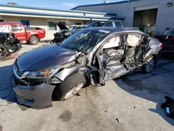 Salvage cars for sale from Copart Fort Pierce, FL: 2014 Honda Accord EXL