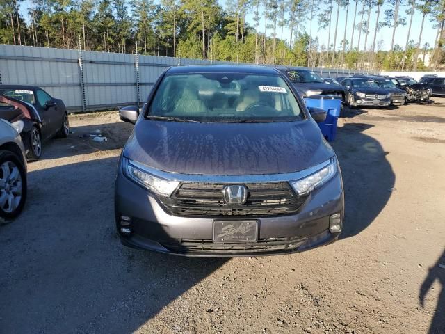 2023 Honda Odyssey EXL