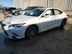 Salvage cars for sale from Copart Lawrenceburg, KY: 2023 Lexus ES 350 Base