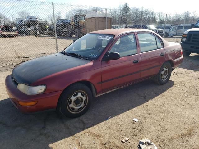 1996 Toyota Corolla