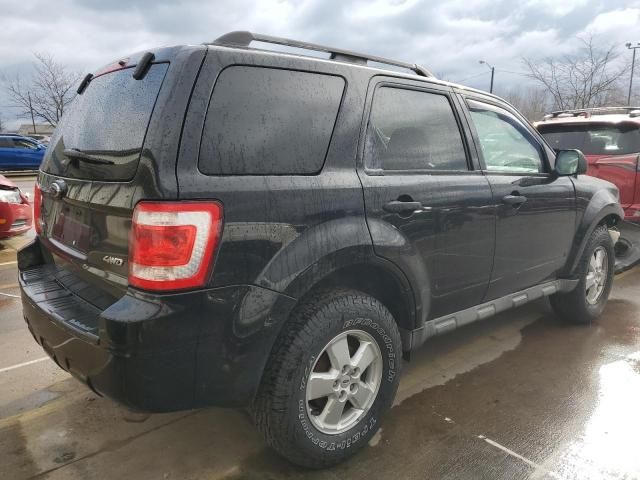 2009 Ford Escape XLT