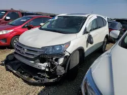Salvage cars for sale at Conway, AR auction: 2014 Honda CR-V EX