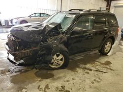 Salvage cars for sale at Avon, MN auction: 2012 Ford Escape XLT