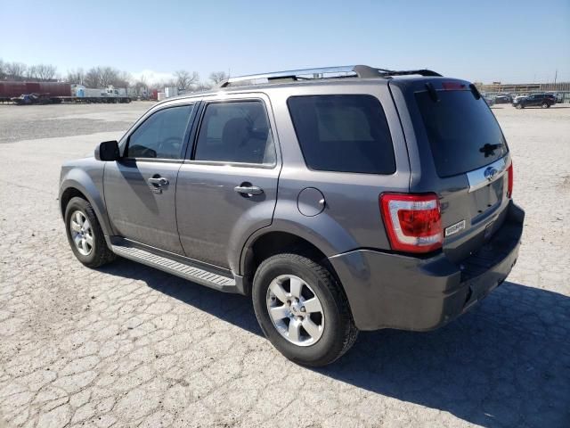 2011 Ford Escape Limited