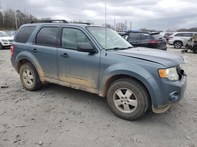 2010 Ford Escape XLT