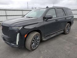 Salvage cars for sale from Copart Airway Heights, WA: 2023 Cadillac Escalade Sport