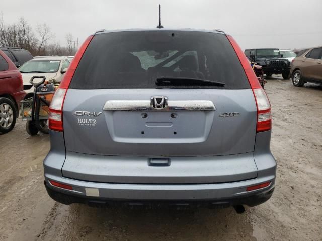 2010 Honda CR-V EXL