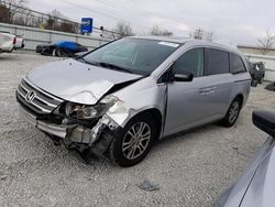 Honda salvage cars for sale: 2013 Honda Odyssey EXL