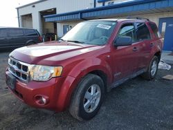 Carros sin daños a la venta en subasta: 2008 Ford Escape XLT