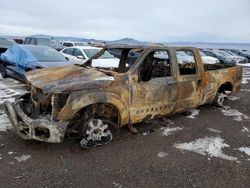 Salvage cars for sale at Helena, MT auction: 2016 Ford F350 Super Duty