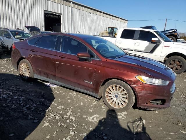 2016 Ford Fusion S Hybrid