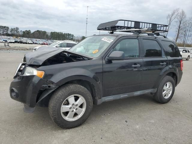 2011 Ford Escape XLT