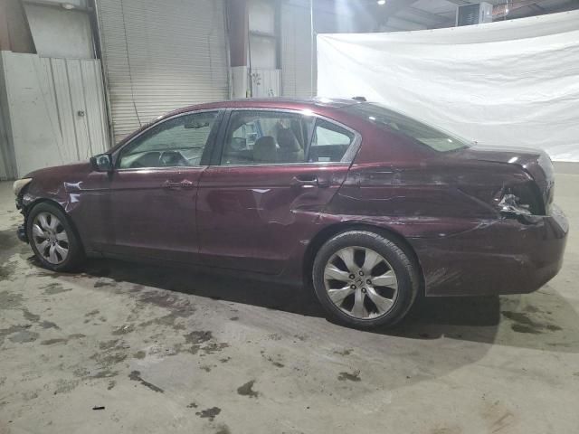 2010 Honda Accord EXL