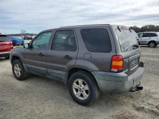 2005 Ford Escape XLT