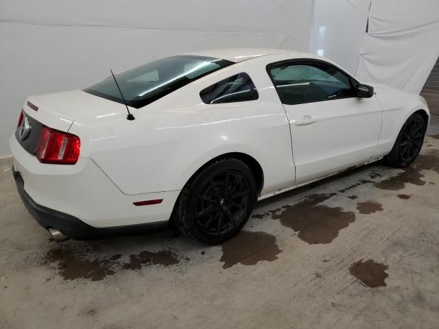 2010 Ford Mustang