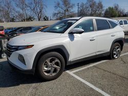 2023 Hyundai Tucson SEL en venta en Colton, CA