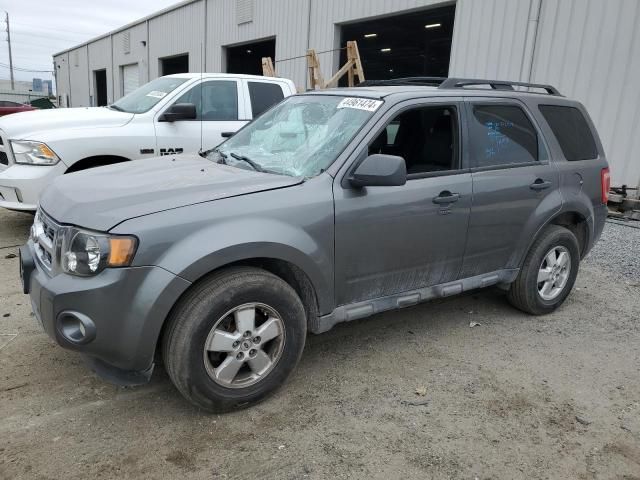 2010 Ford Escape XLT