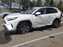 Toyota Rav4 XLE salvage cars for sale: 2023 Toyota Rav4 XLE