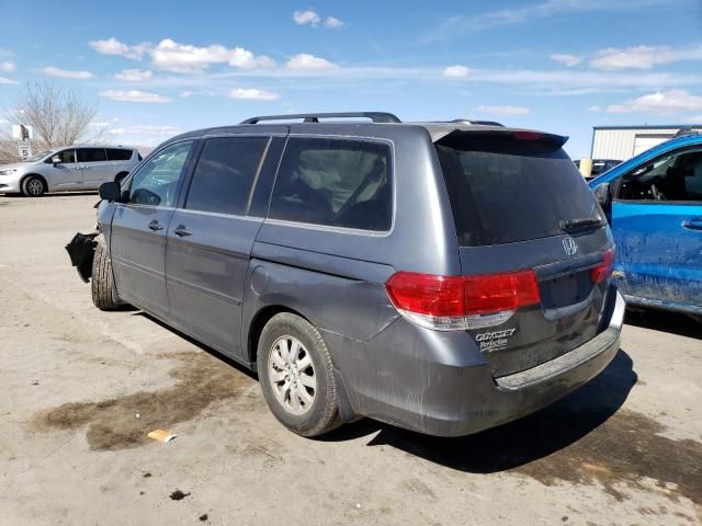 2010 Honda Odyssey EXL