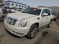 Cadillac Vehiculos salvage en venta: 2009 Cadillac Escalade Luxury