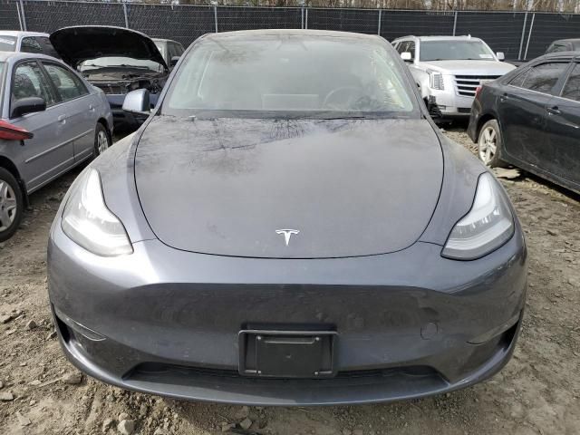 2020 Tesla Model Y