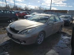 Lexus ES330 salvage cars for sale: 2006 Lexus ES 330