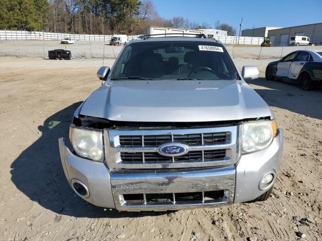 2010 Ford Escape Limited