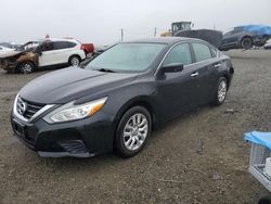 Vehiculos salvage en venta de Copart Vallejo, CA: 2016 Nissan Altima 2.5