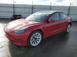 Salvage cars for sale at Antelope, CA auction: 2023 Tesla Model 3