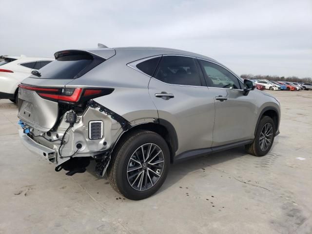 2024 Lexus NX 350H Base