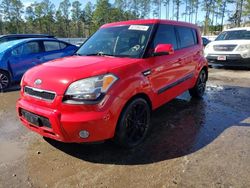 Salvage cars for sale at Harleyville, SC auction: 2011 KIA Soul +