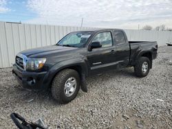 Salvage cars for sale at Columbus, OH auction: 2009 Toyota Tacoma Access Cab